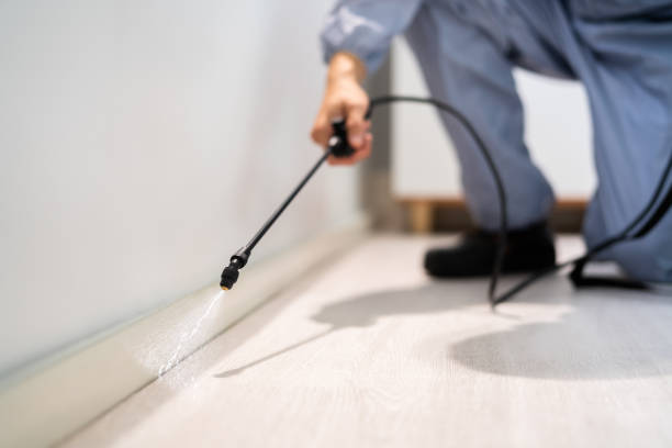 Licensed Pest Control service in Rosewood Heights, IL - Show Me Pest Control