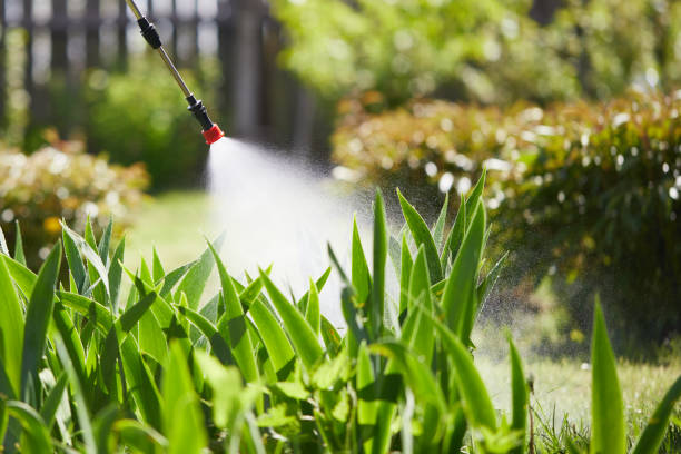 Tamper-Resistant Bait Stations for Rodents in Rosewood Heights