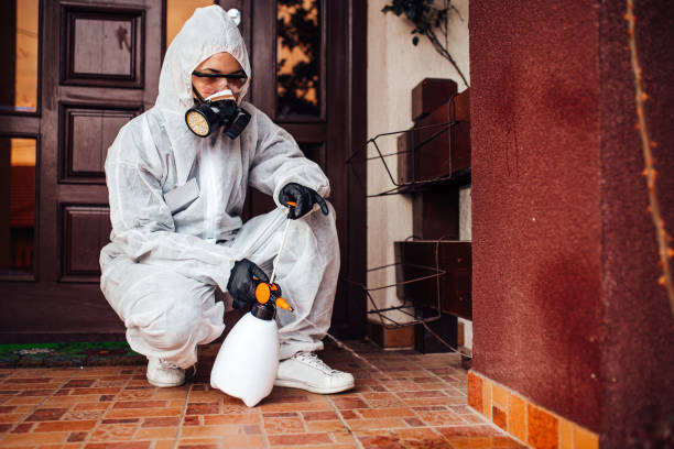 Attic and Crawl Space Rodent Treatment in Rosewood Heights