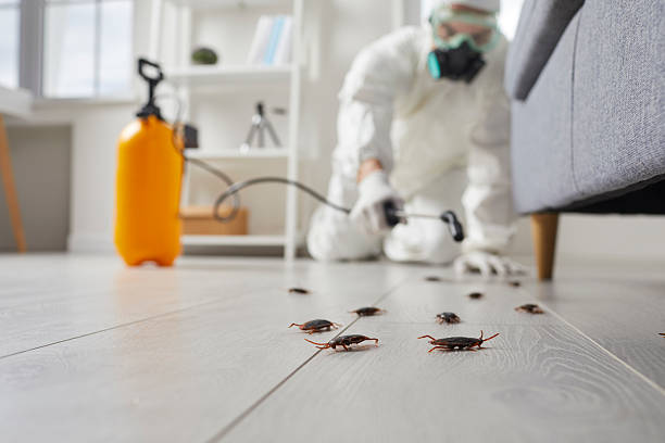 Commercial Rodent Management in Rosewood Heights